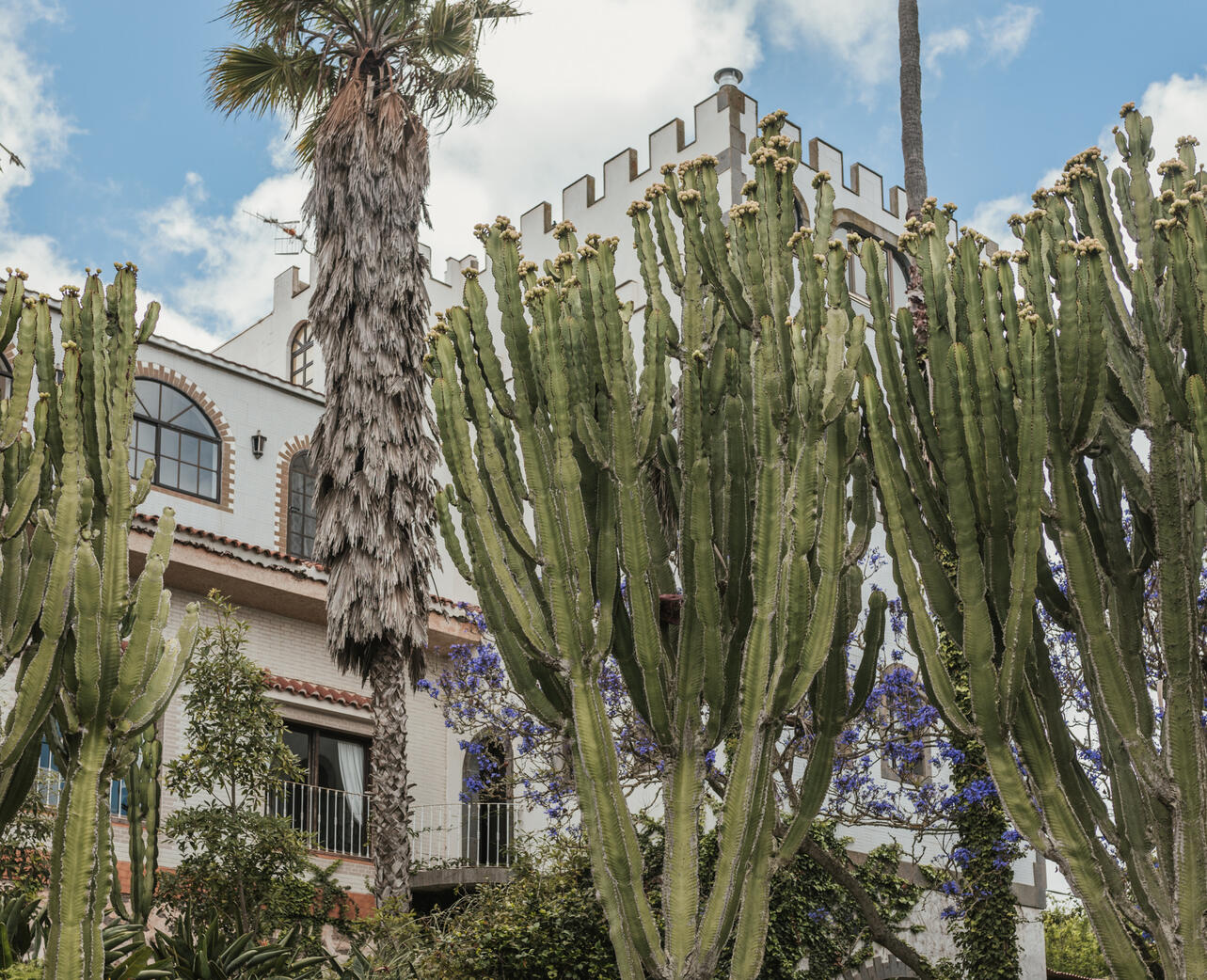 Bastión y candelabros