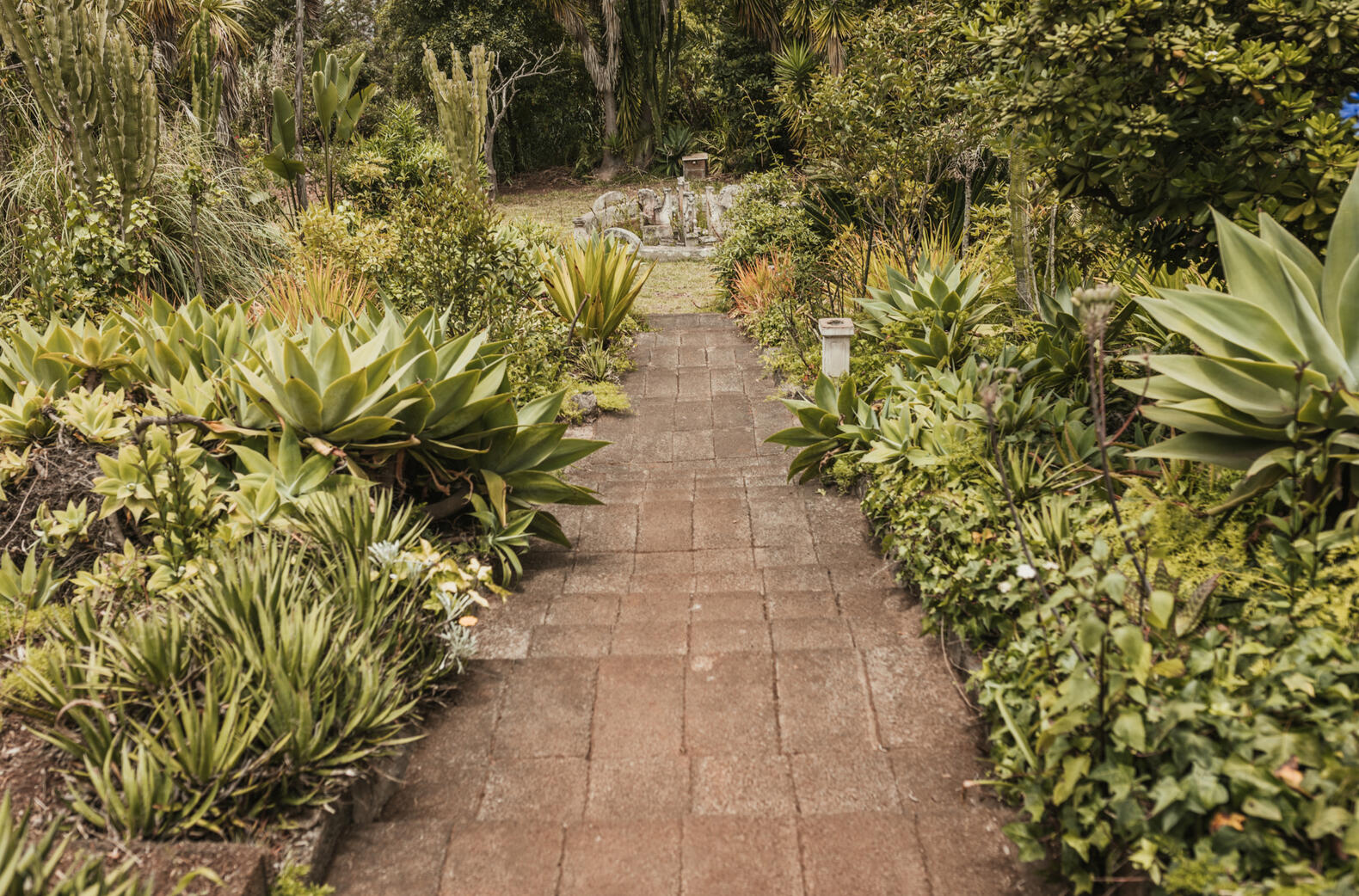 Escaleras hasta el segundo jardín