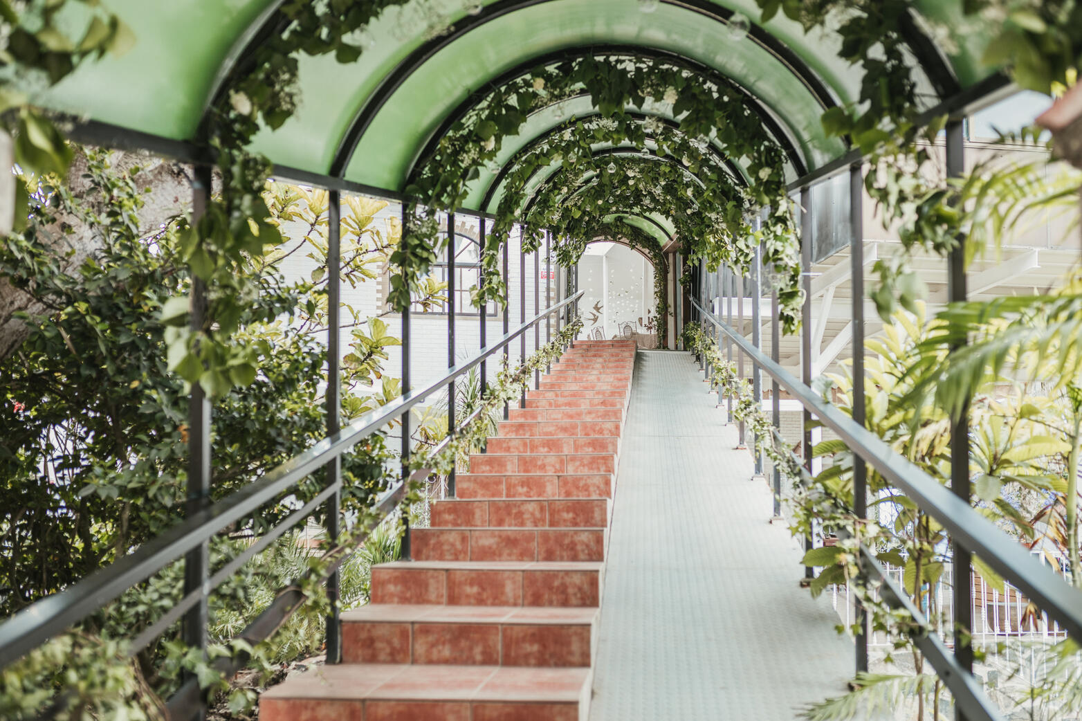 Subida hasta el comedor del Bastión del Drago