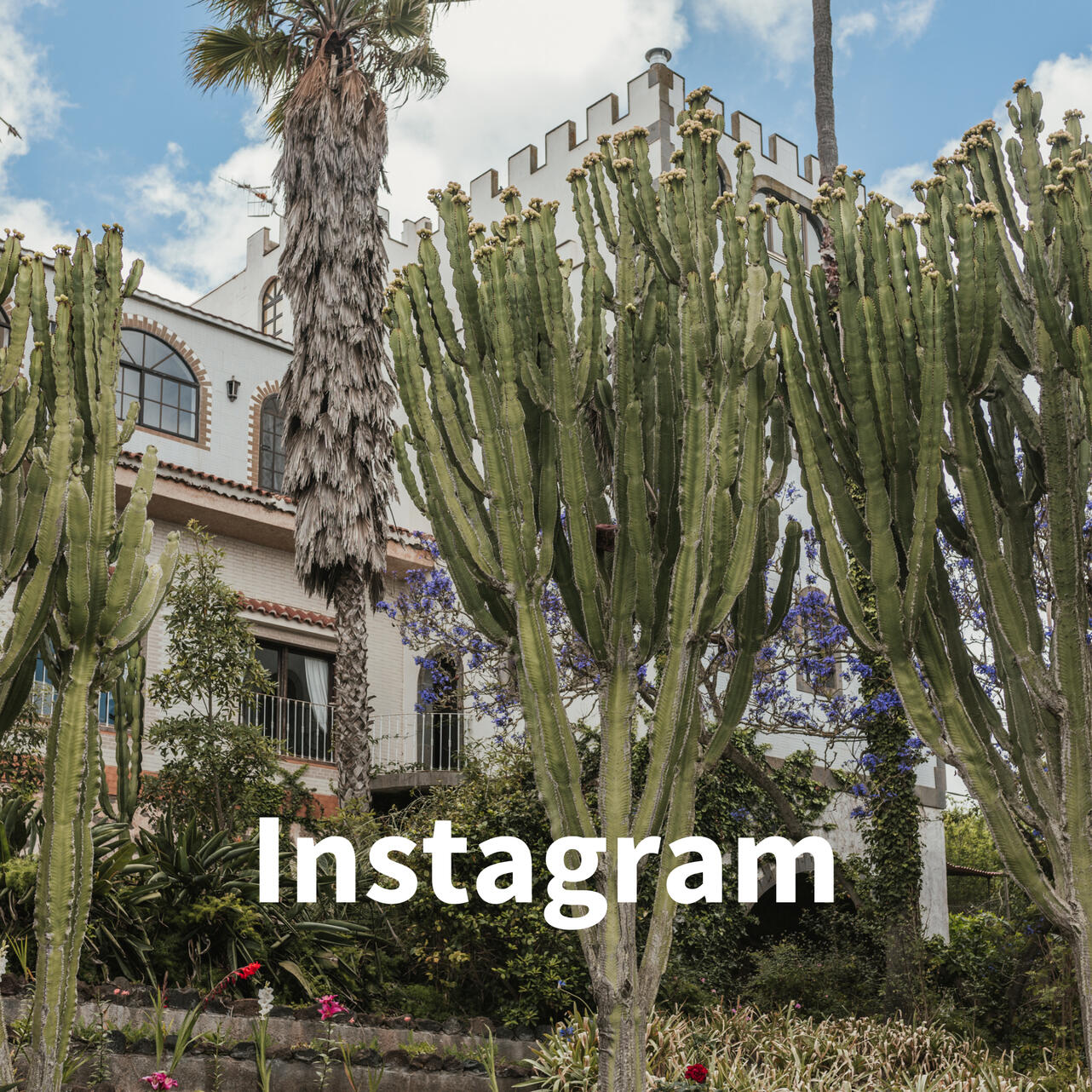 Instagram del Bastión del Drago