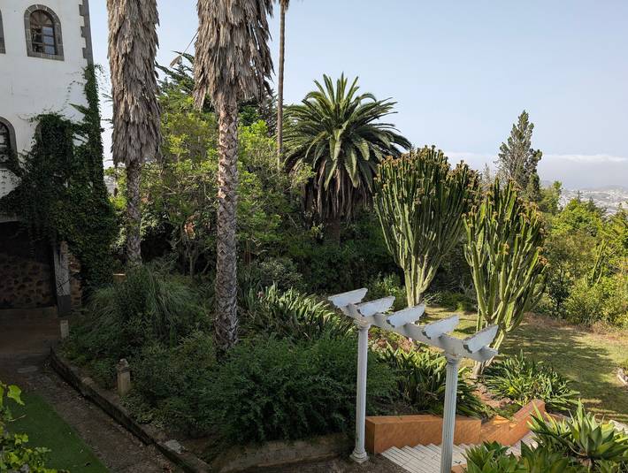 Where to Eat in Arucas: Restaurants, Cafés and Local Spots