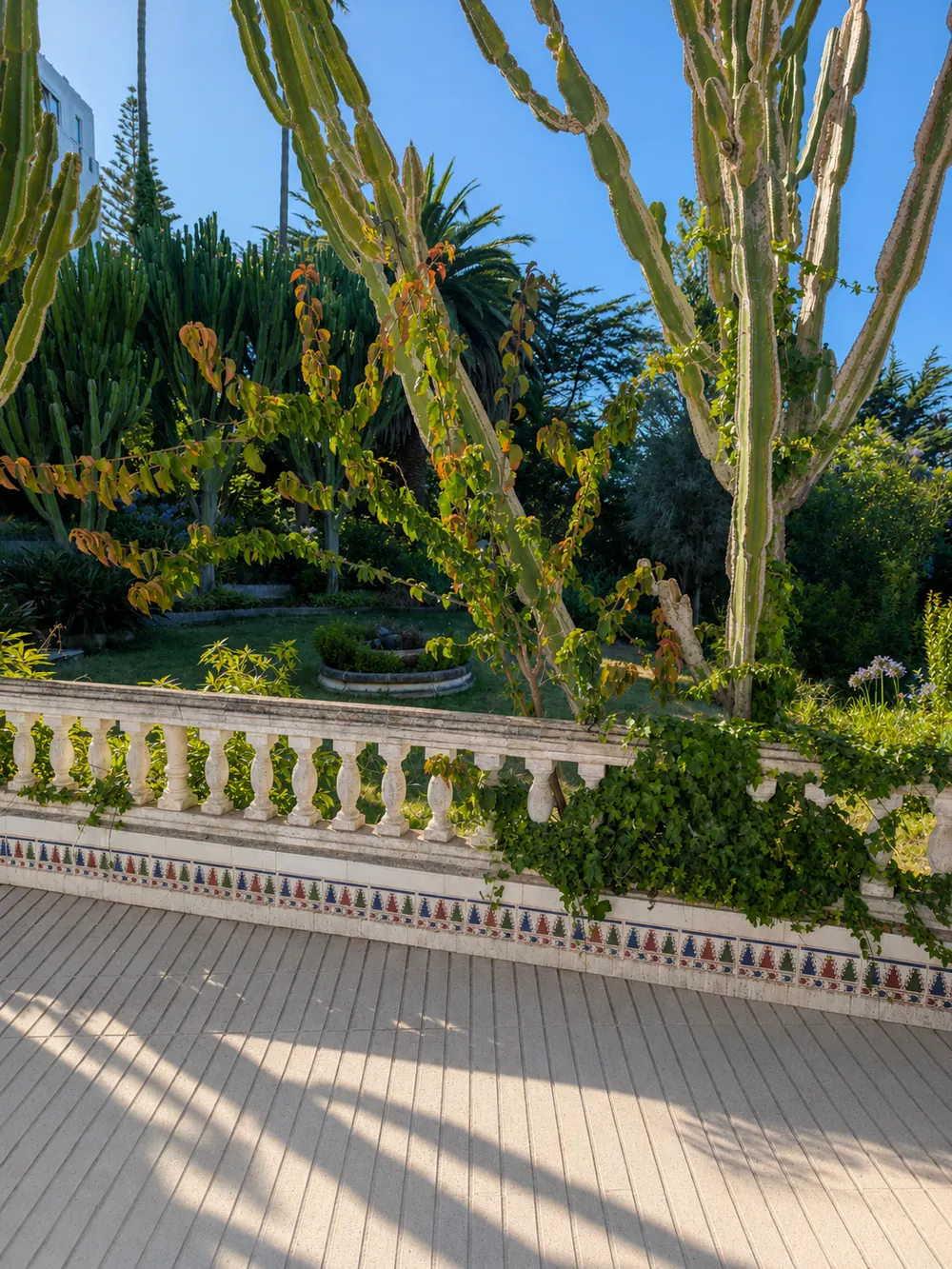 Jardín + Terraza — foto 1