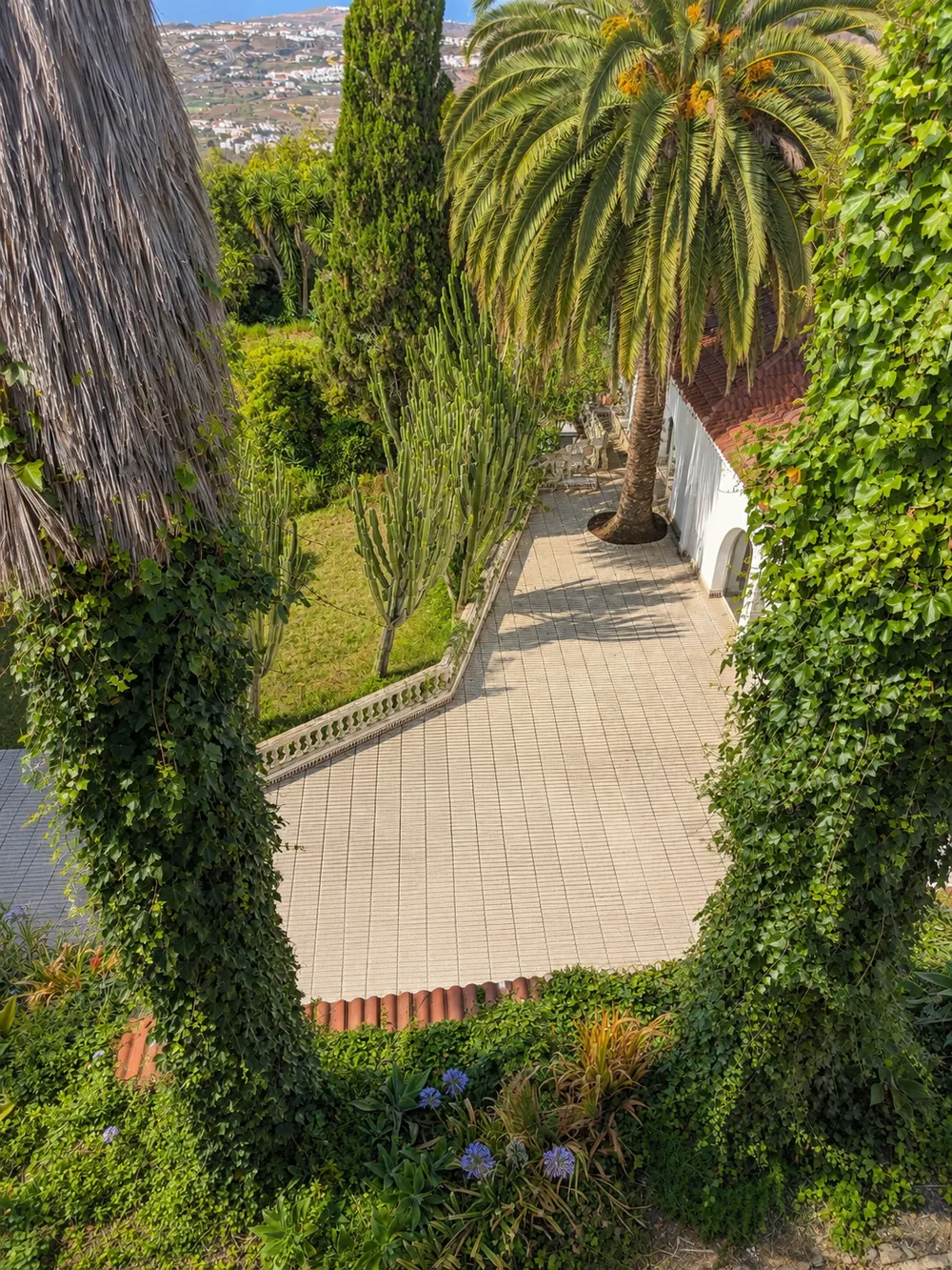 Jardín + Terraza — foto 4