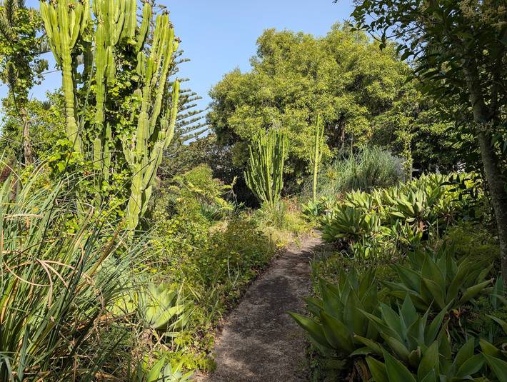 Quiet garden corner at Bastión del Drago